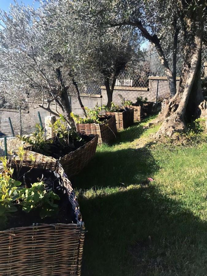 Agriturismo Le Pale 2 Swimming Pool And Parking Bogliasco Exterior foto